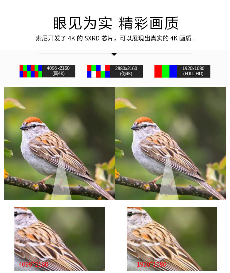 é¶å·å®¶åºå½±é¢